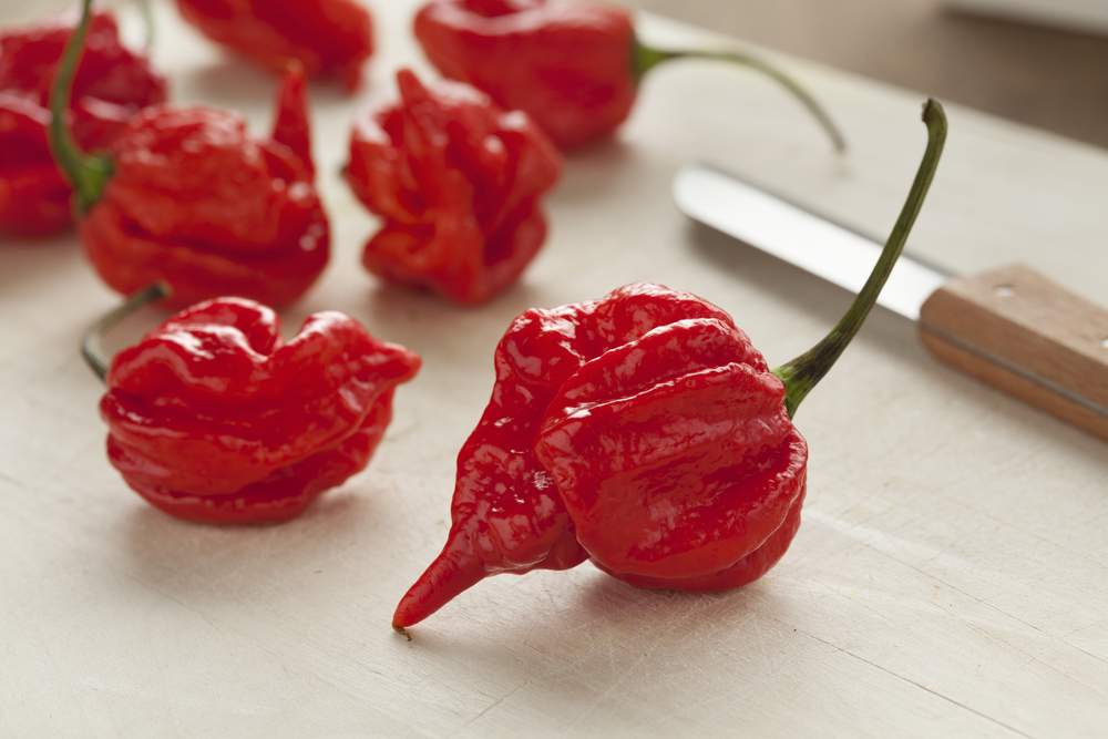 scorpion peppers