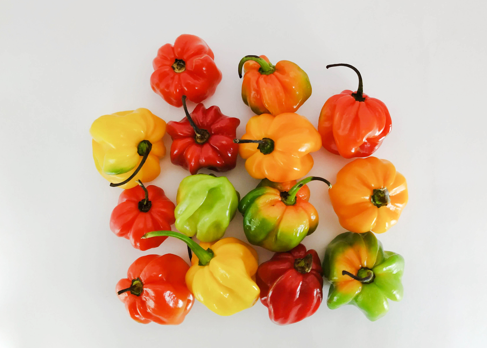 group of red, green, yellow and orange Scotch Bonnet peppers