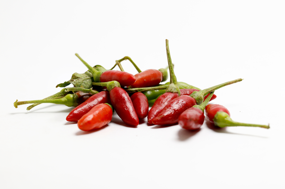 tabasco peppers