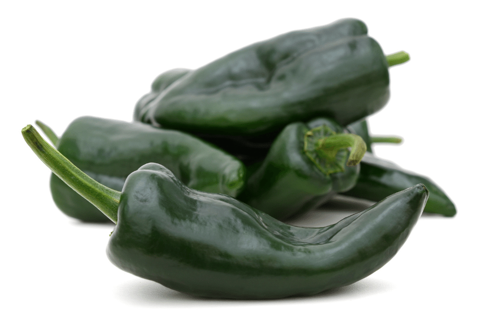 chile poblano