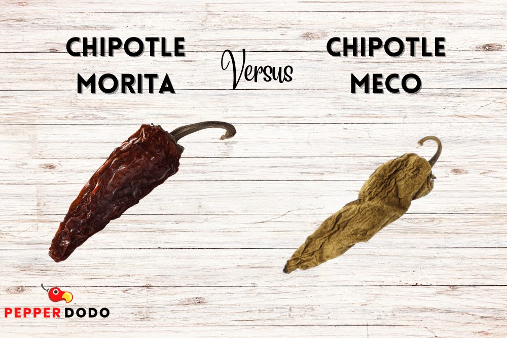 chipotle morita vs meco