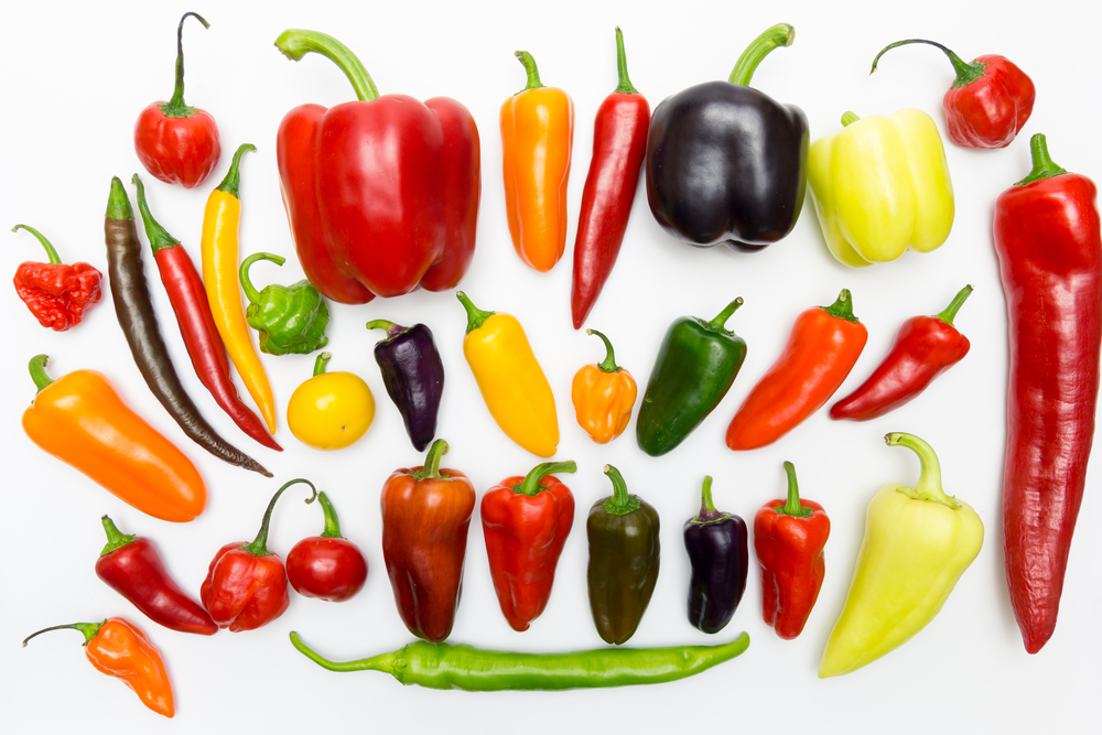 pepper variety for mexican hot sauce