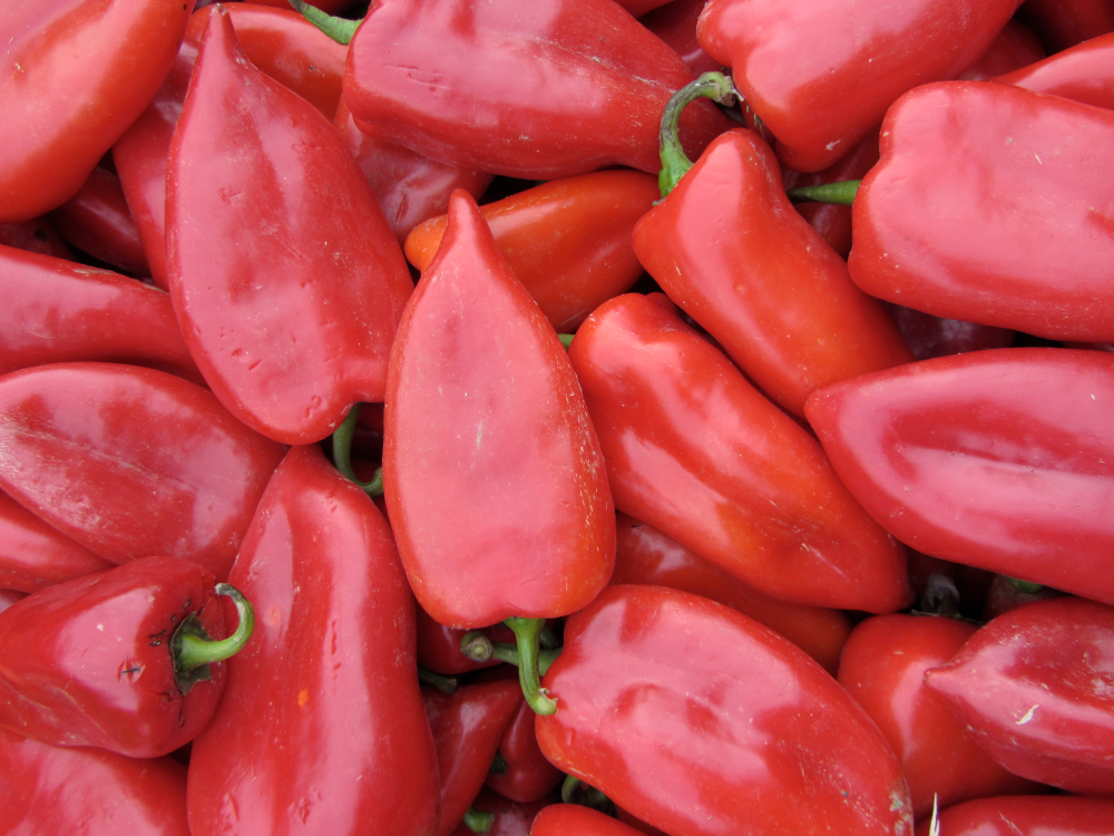 piquillo peppers