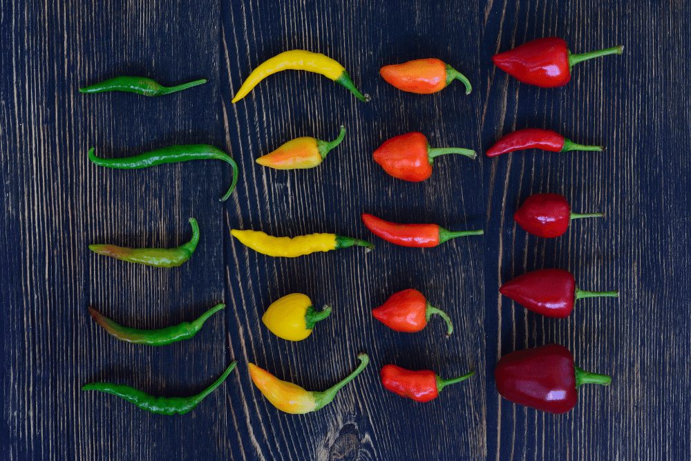 thai chili pepper varieties
