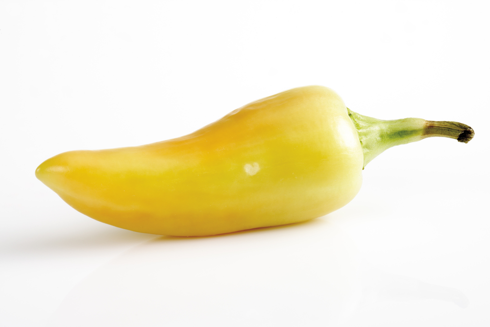 Santa Fe Grande yellow hot chili pepper