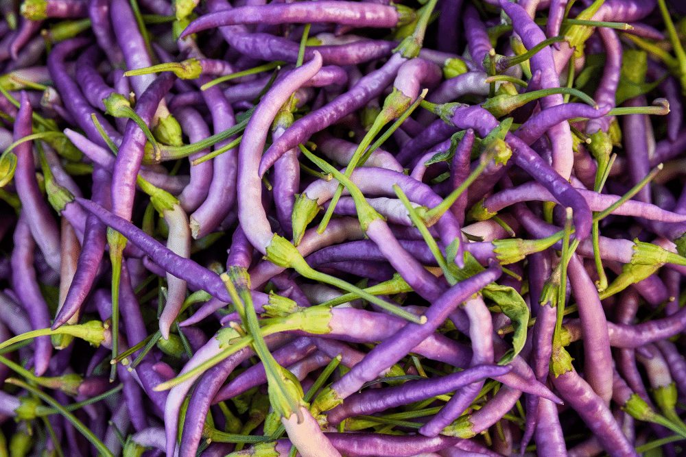 buena mulata pepper