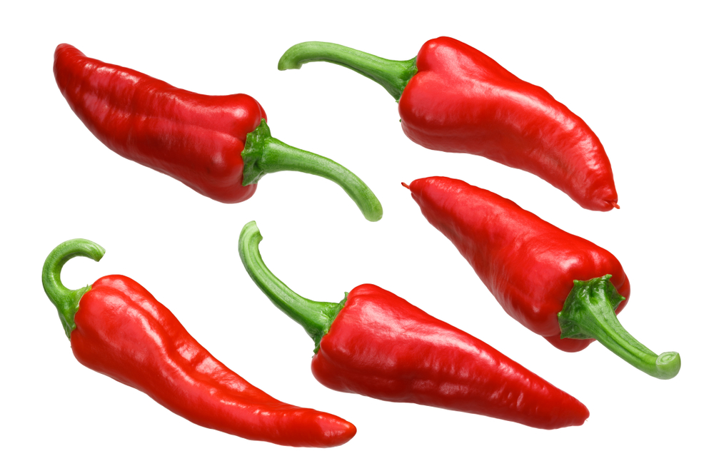Chimayo Pepper: Rare, New Mexico Heirloom Peppers 3 Vibrant red Chimayo peppers.