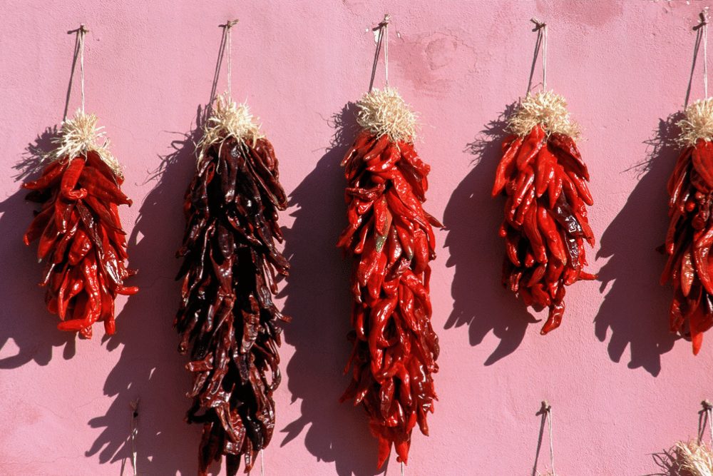 Chimayo Pepper: Rare, New Mexico Heirloom Peppers 4 chimayo chile ristra