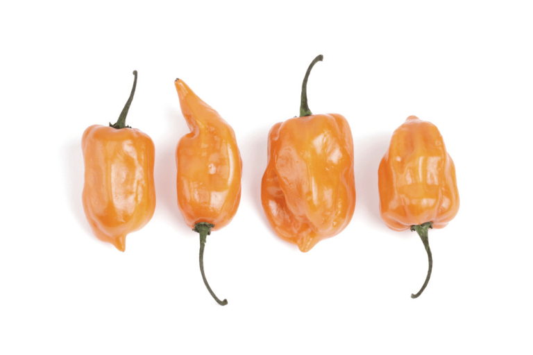 Peach Habanero Pepper A Pretty Pepper With A Punch