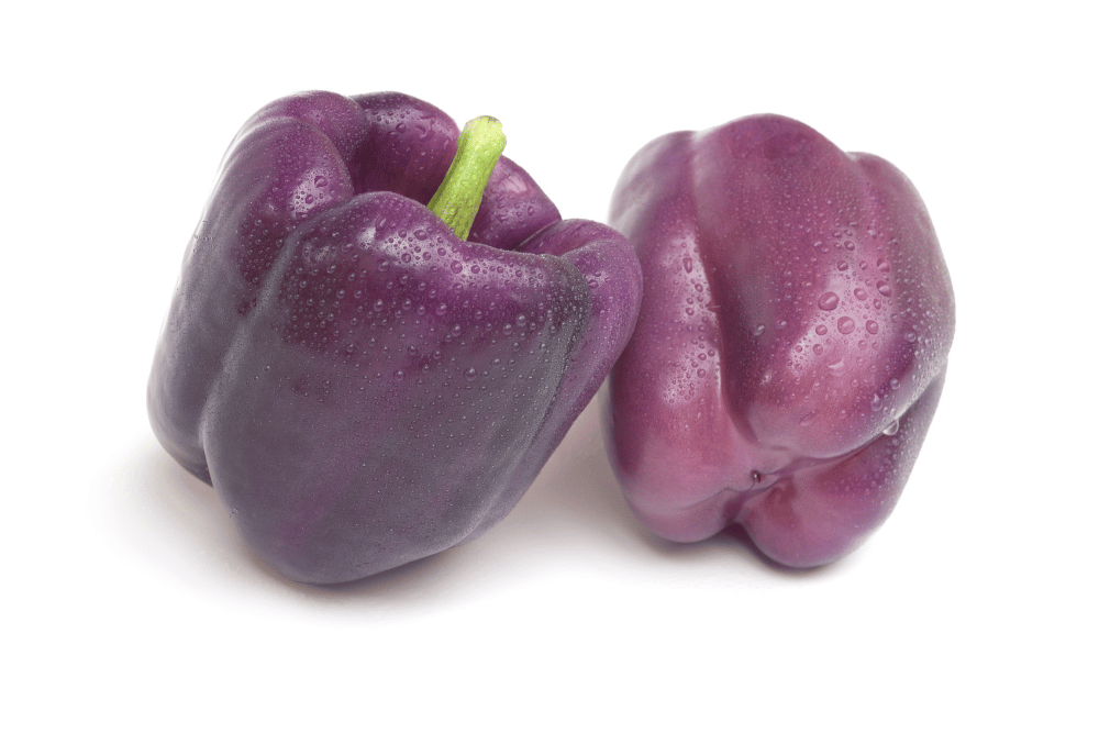 purple beauty peppers