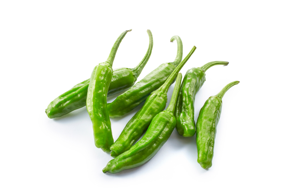shishito peppers