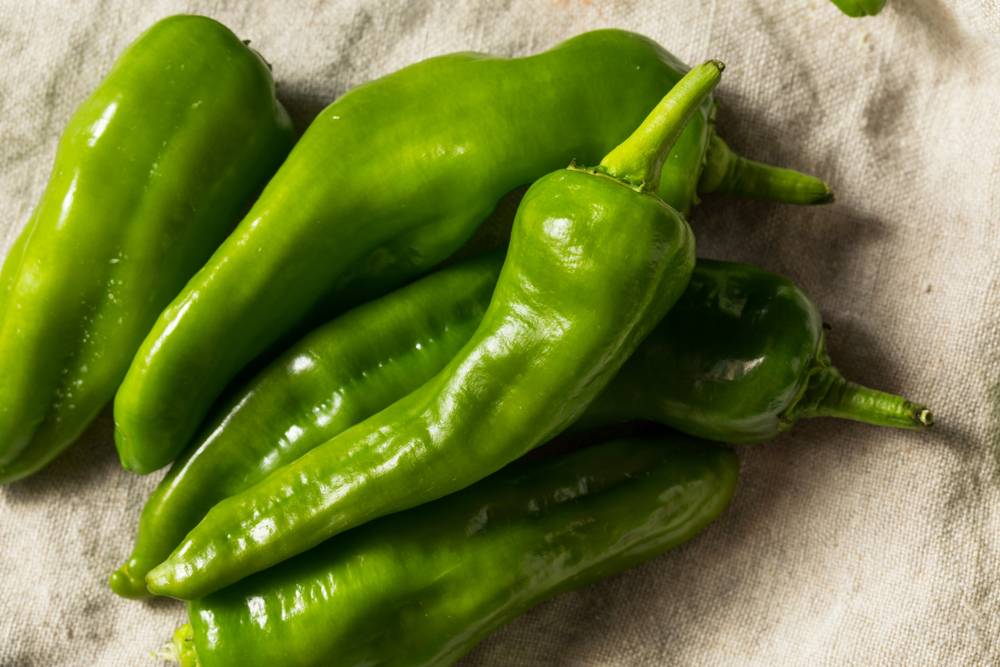 Melrose Pepper: Sweet Peppers With Italian-American Roots 2 Green unripe Melrose peppers.