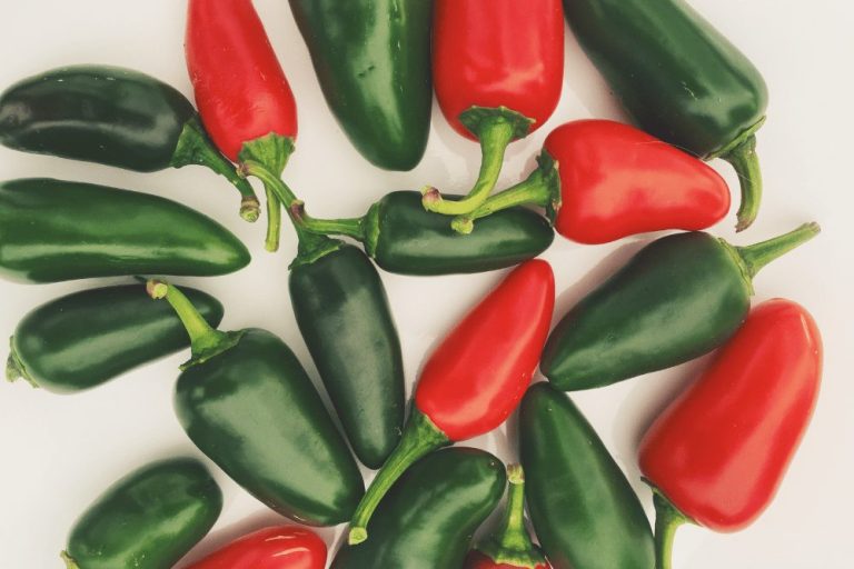 Jalapeno Pepper The King Of Grocery Store Peppers